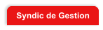 Syndic de Gestion